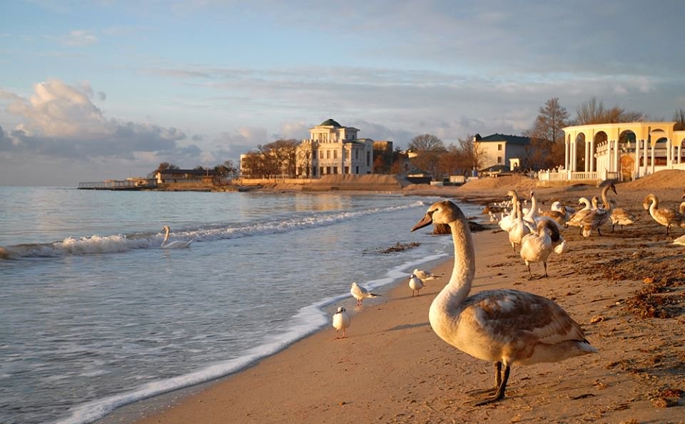 Набережная Черного моря зимой, Евпатория, Крым
