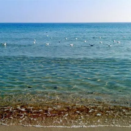 Ласковое море на западном берегу Крыма